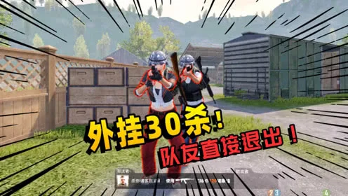 和平精英高端锦鲤内核软件：超强稳定性加持，安卓 /iOS 双端适配
